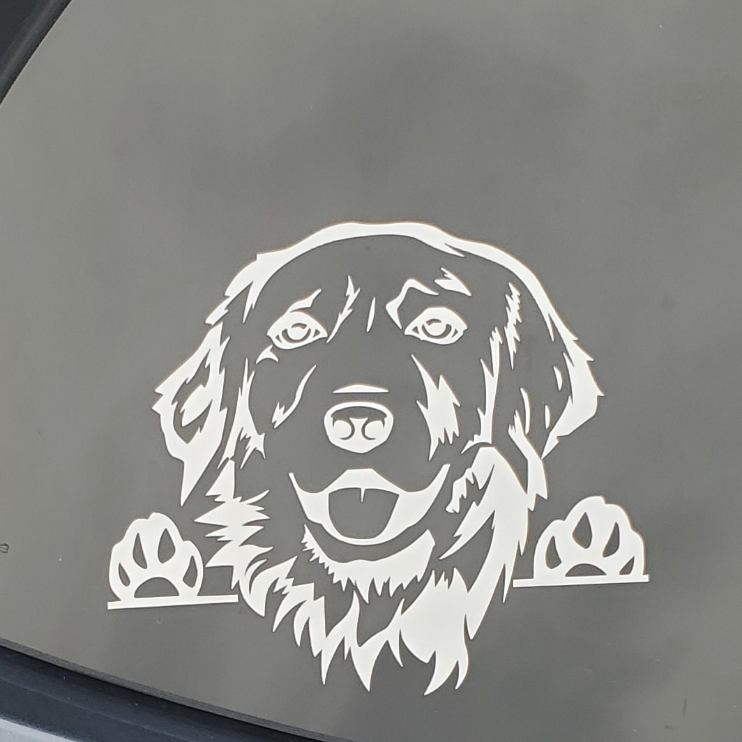 Peeking Retriever Sticker Decal, Golden, Chesapeake Bay, Flat-Coated, Labrador, Mix, Stick on Glass, Metal, Plastic, Canvas, Apply to Car