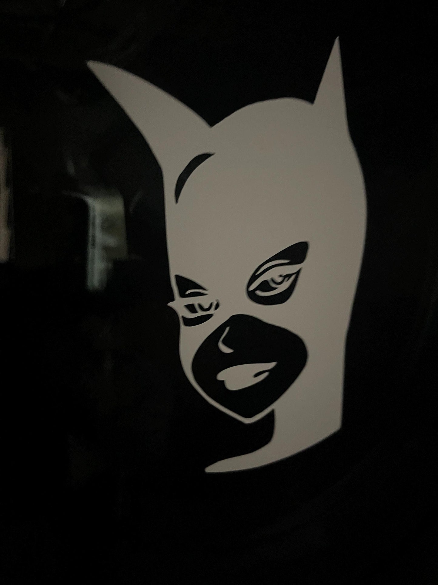 Anti-Hero Anti-Princess Cat Lady Woman in Silhouette White Decal Sticker for Truck, Car, Van, Locker, Cubicle, Tablet, glass, metal, plastic